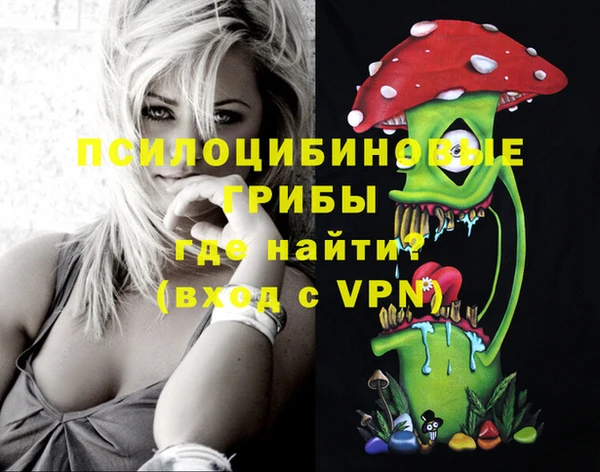 Альфа ПВП Богданович