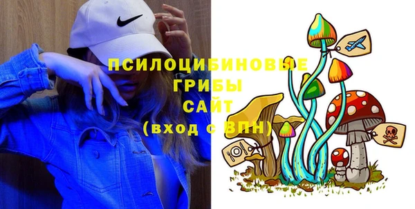 спиды Богородск
