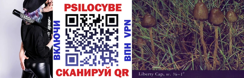 Галлюциногенные грибы прущие грибы  Белая Холуница 